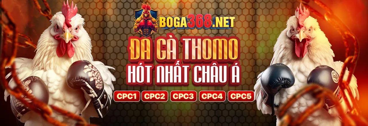Đội ngũ 88haywin và tầm nhìn phát triển tại Việt Nam
